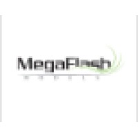 Mega Flash Models logo