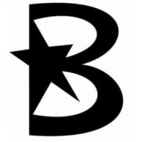 Berman Auto Group logo
