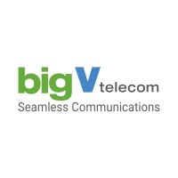 Bigv Telecom logo
