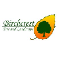 Birchwood Tree and Lanscape logo
