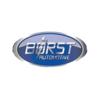 Borst Automotive logo