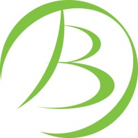 Brackenwood Windows logo