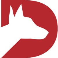 Dingo Software logo
