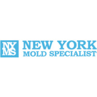New York Mold Specialist logo